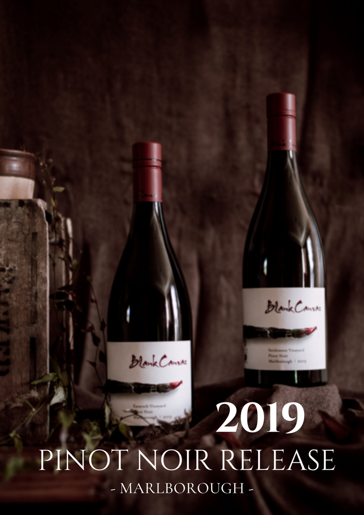 "Grand Cru Level" - 2019 Pinot Noir Release | Marlborough