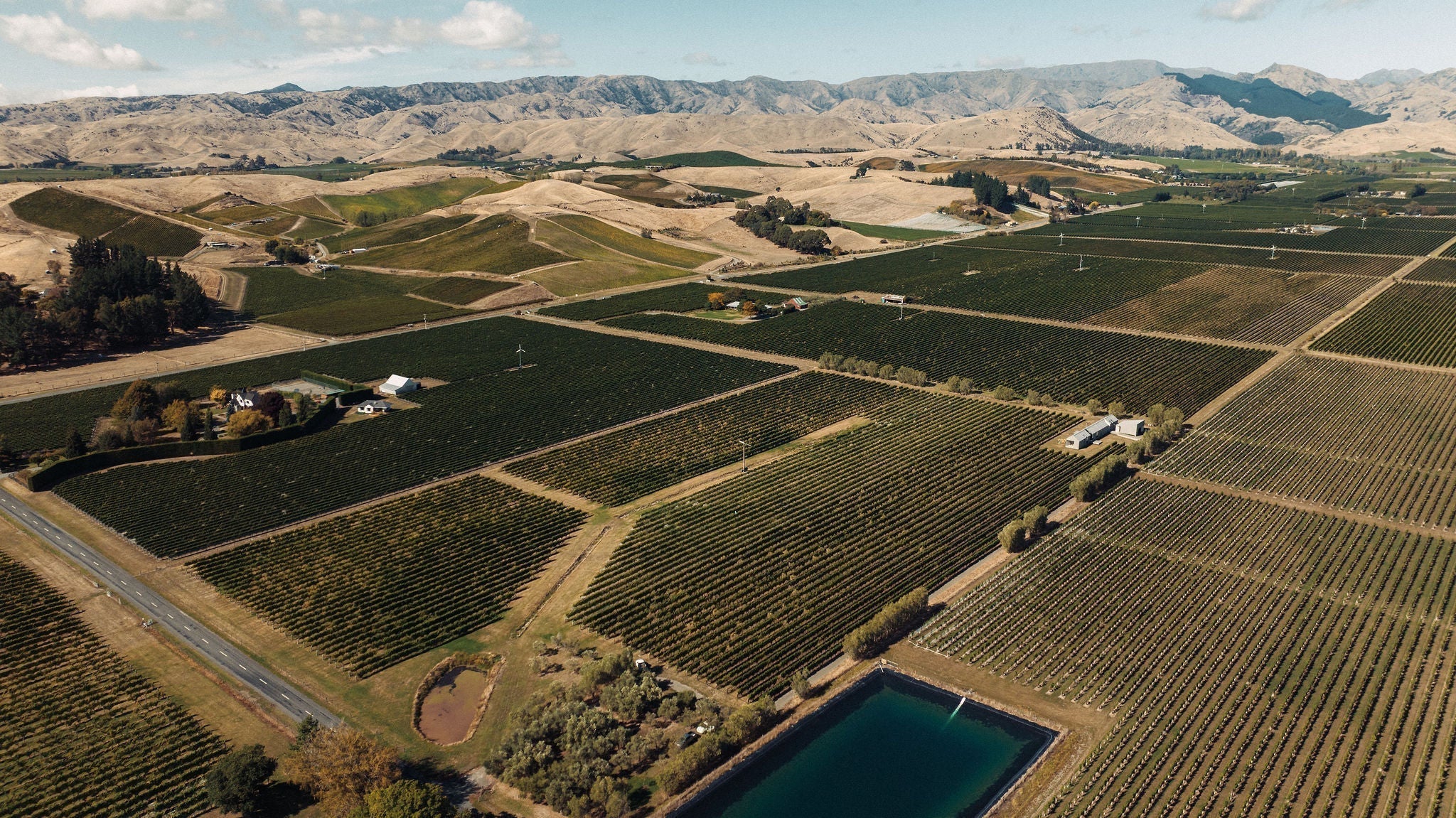 Fourteen Years of Grüner Veltliner: A New Chapter at Axehouse Vineyard