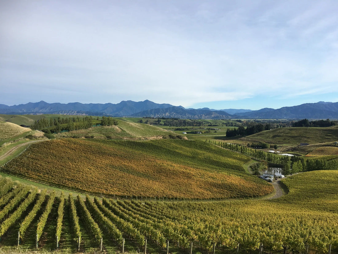 Welcome to our New Home