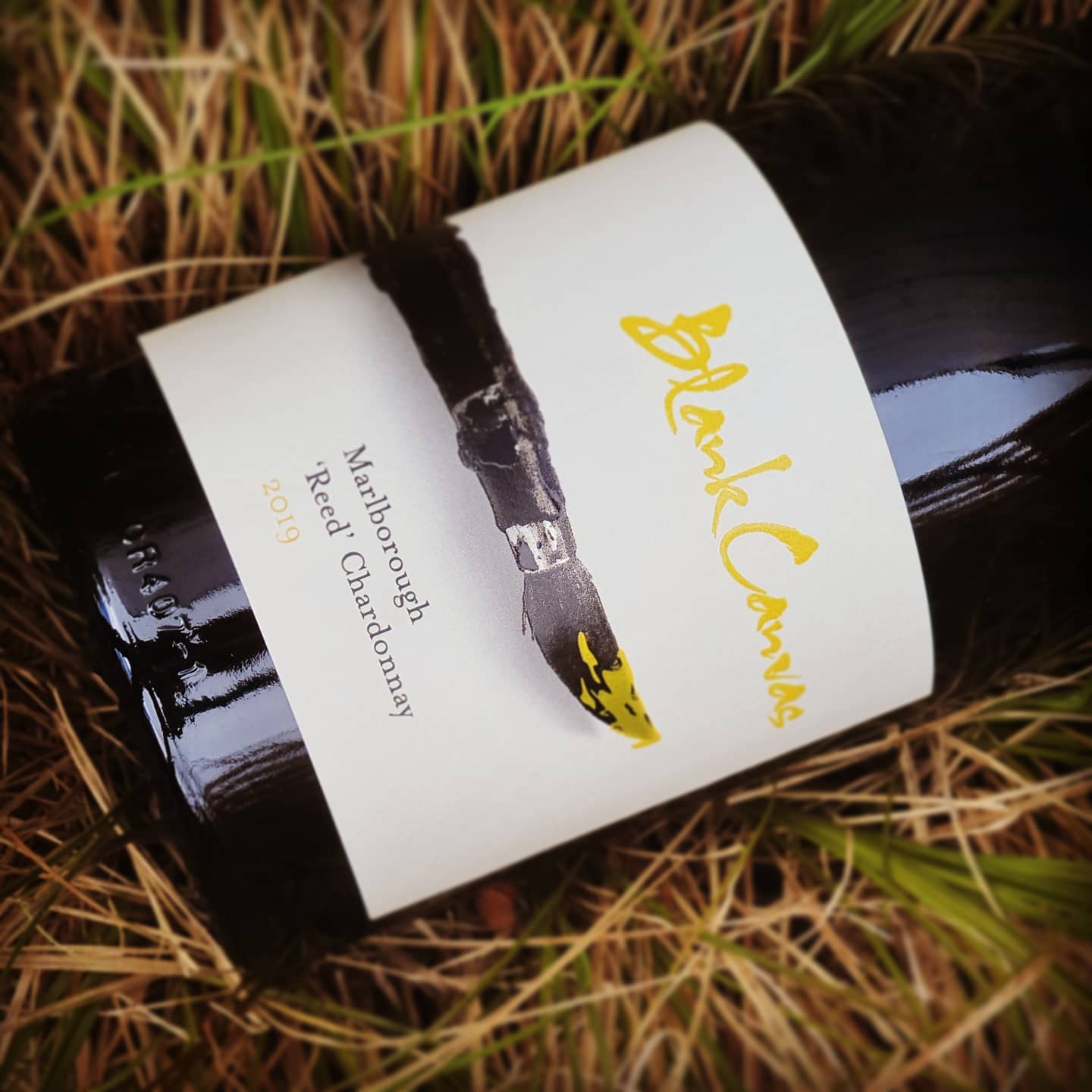 Blank Canvas Reed Chardonnay "the best Kiwi Chardonnay to buy now."