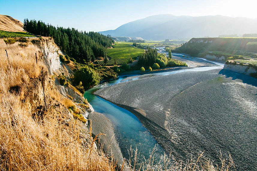 Upton Downs Vineyard