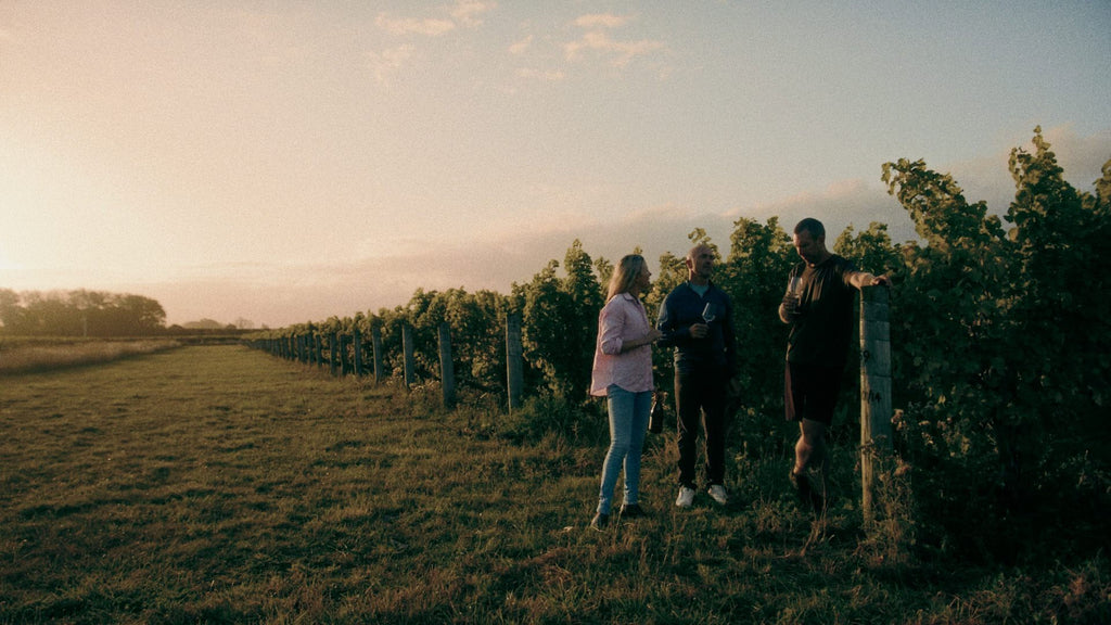 Abstract | Three Rows Sauvignon Blanc 2023