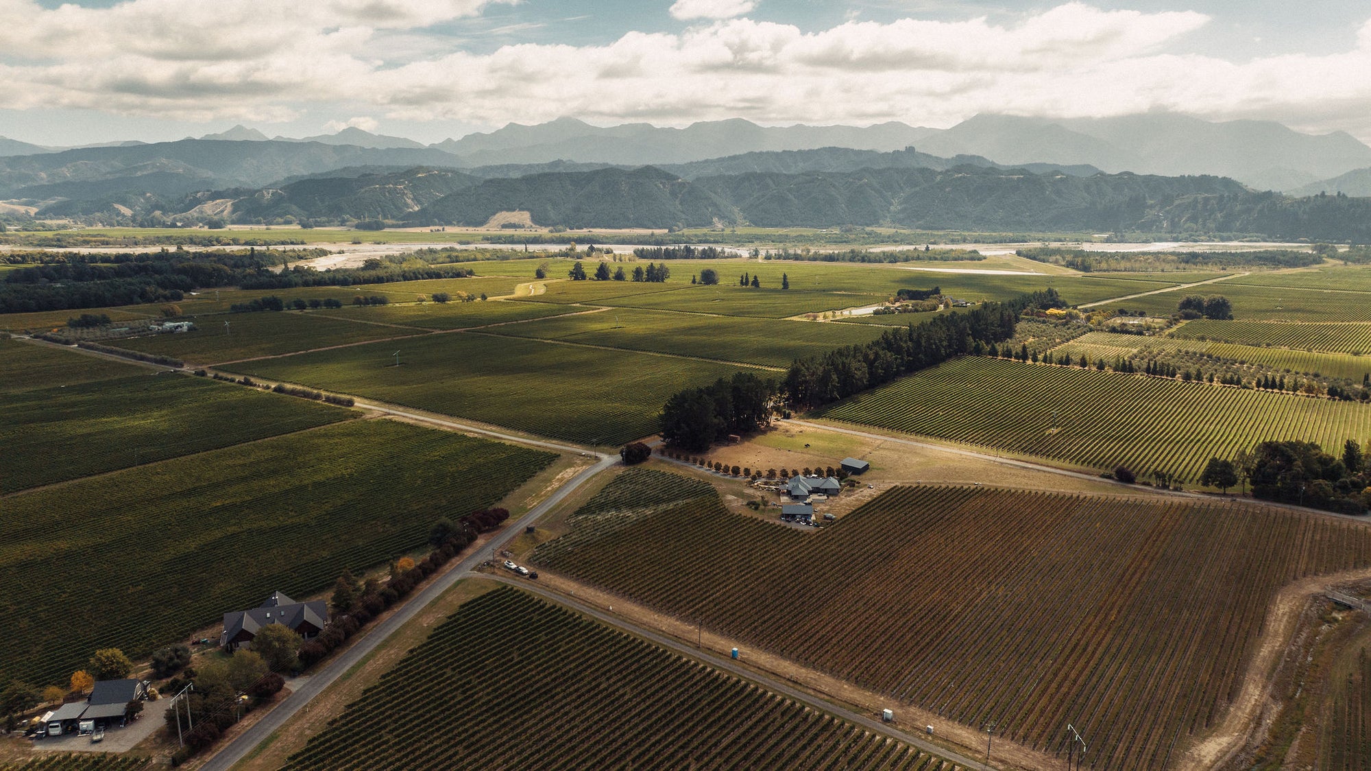 Reed Vineyard Chardonnay 2024