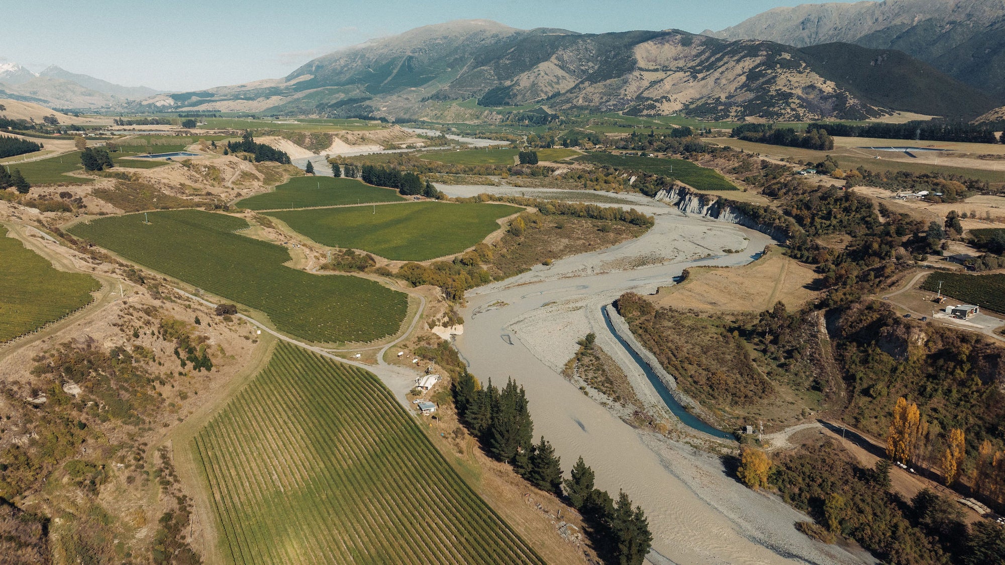 Upton Downs Vineyard Pinot Noir 2023
