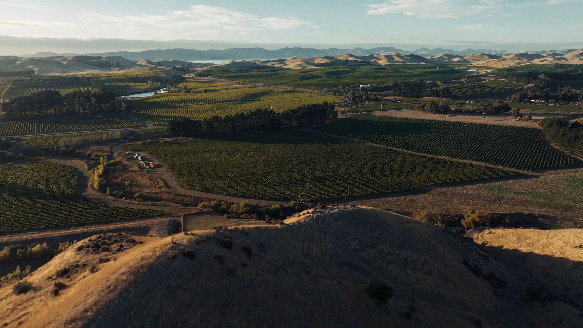 Anandale Farm - Blind River | Marlborough New Zealand - Single Vineyard Wines