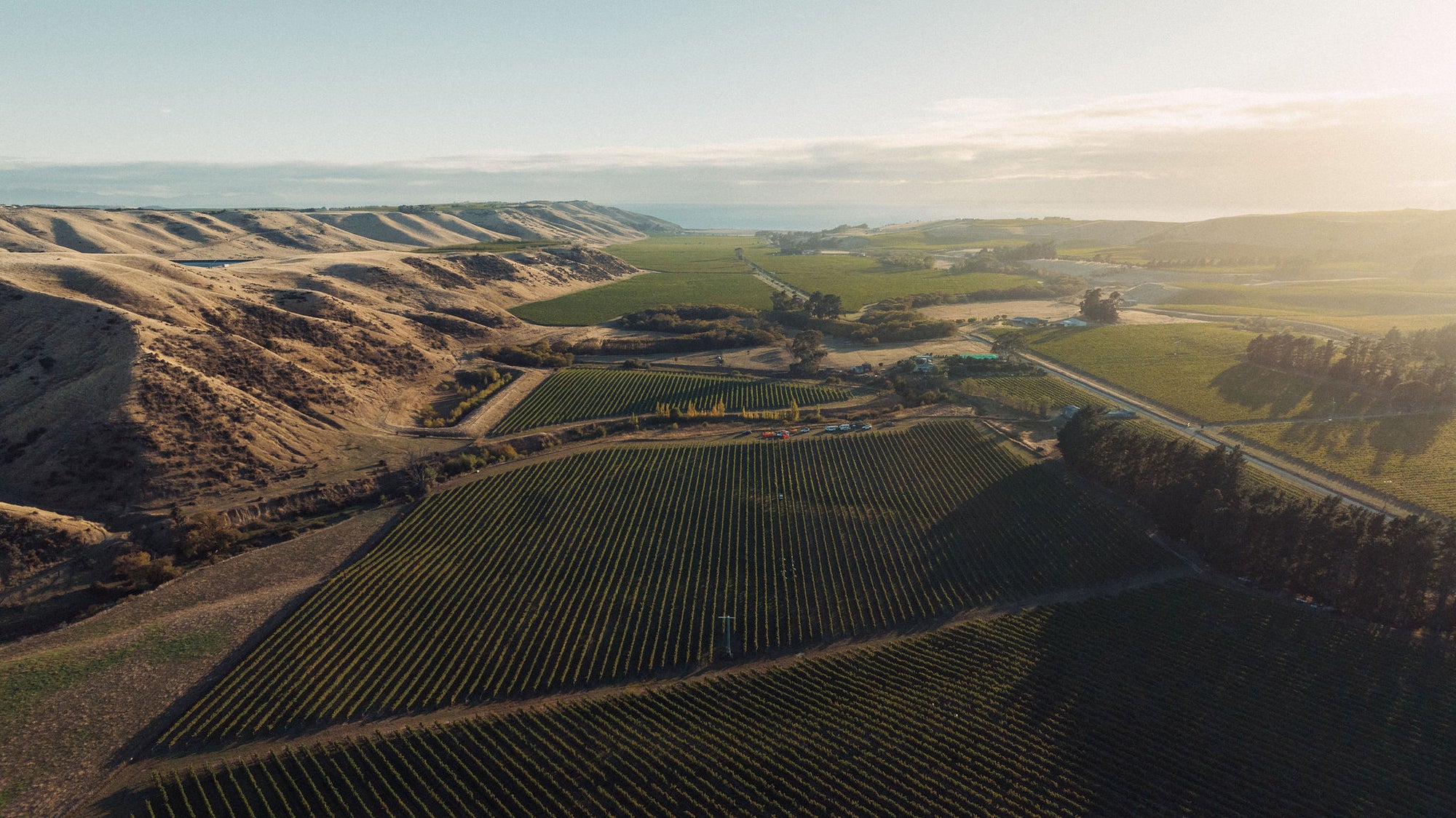 Anandale Farm Riesling 2025