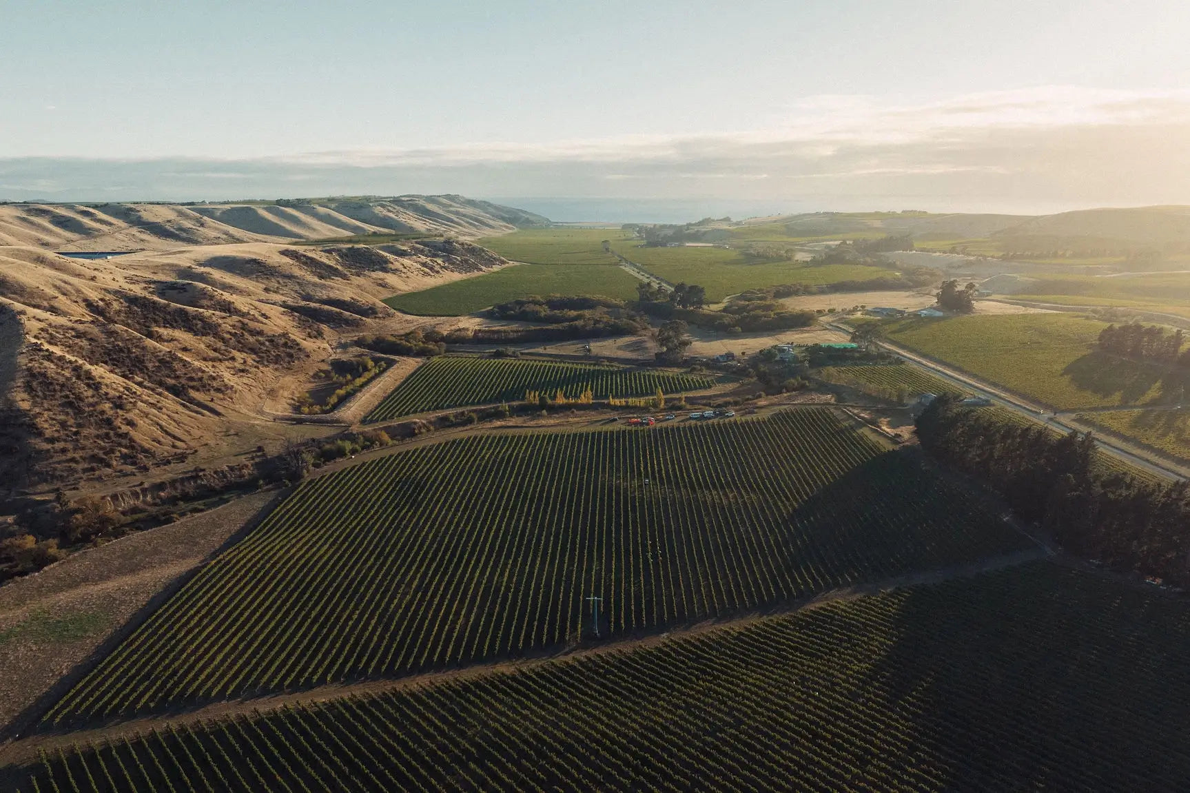 Anandale Farm - Blind River | Marlborough New Zealand - Single Vineyard Wines
