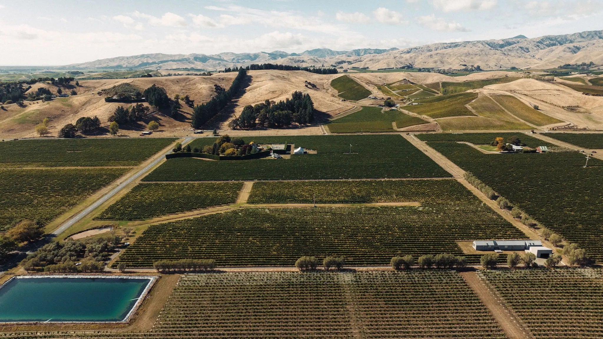 Axehouse Vineyard - Southern Valleys, Wairua Valley | Marlborough, New Zealand - Single Vineyard Wines