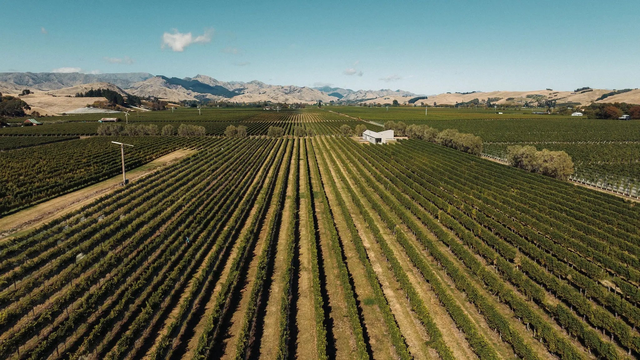 Axehouse Vineyard - Southern Valleys, Wairua Valley | Marlborough, New Zealand - Single Vineyard Wines