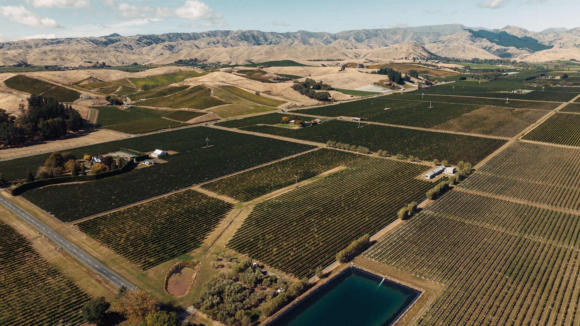 Axehouse Vineyard Gruner Veltliner 2024