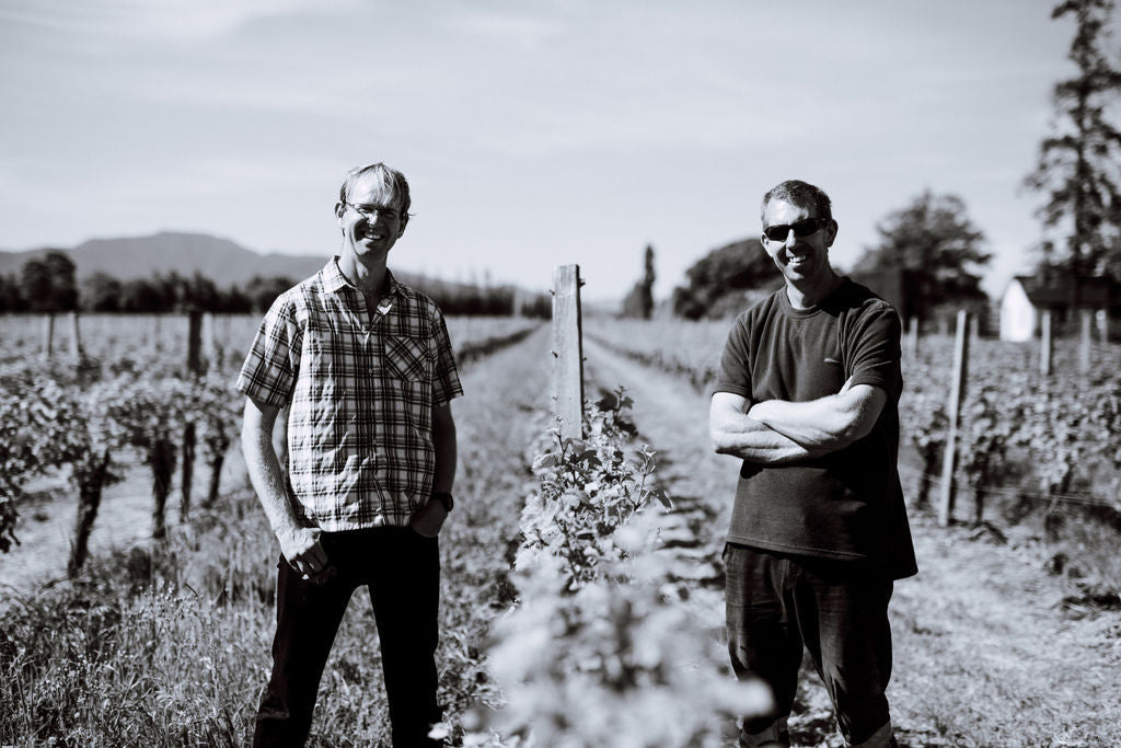 Abstract | Three Rows Sauvignon Blanc 2023