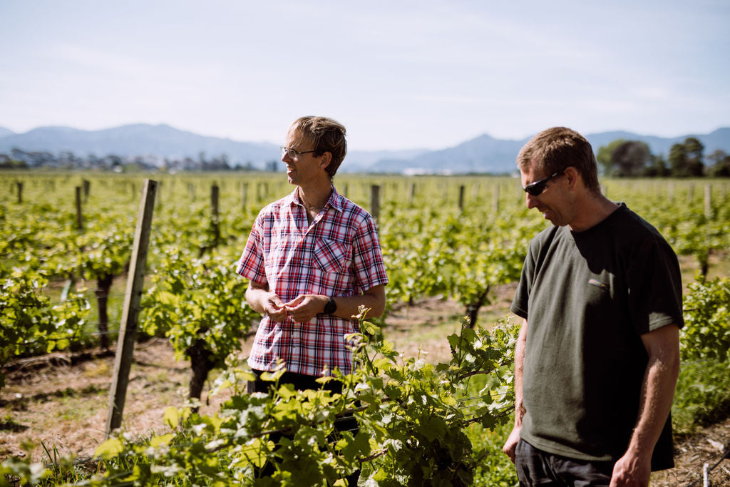 Holdaway Vineyard Sauvignon Blanc 2025