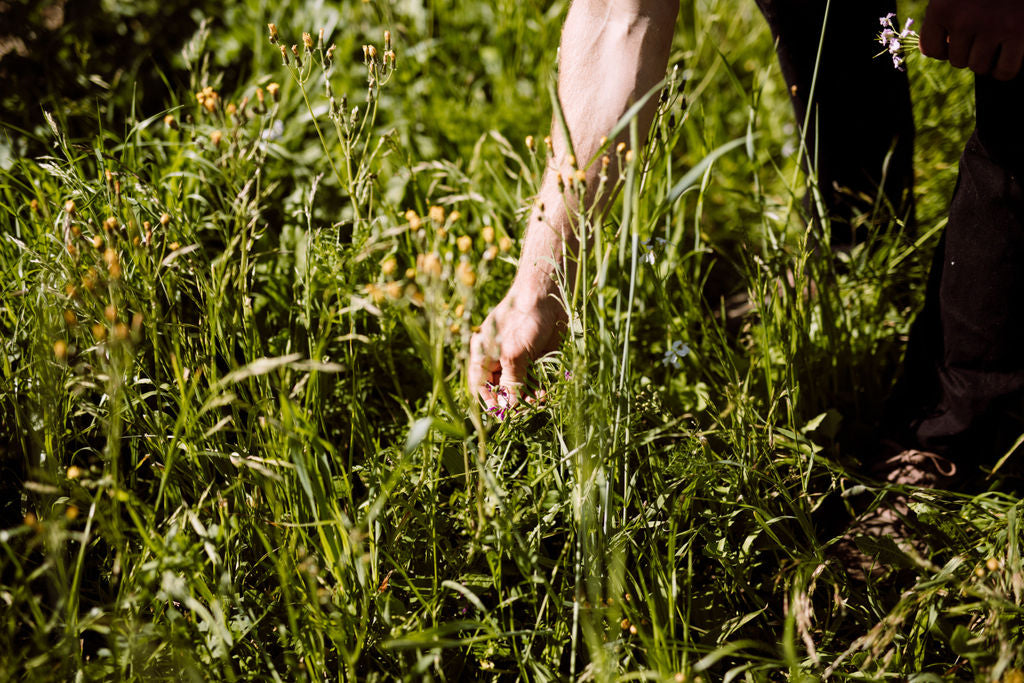 Abstract | Three Rows Sauvignon Blanc 2023