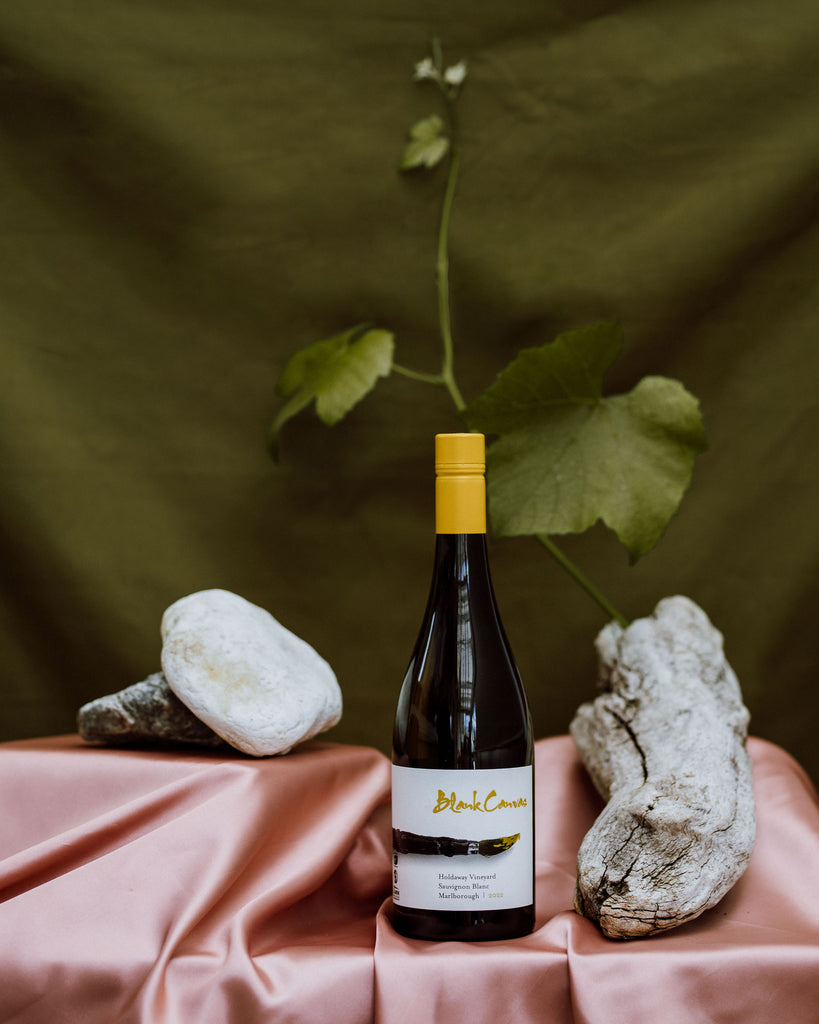 Holdaway Vineyard Sauvignon Blanc 2023