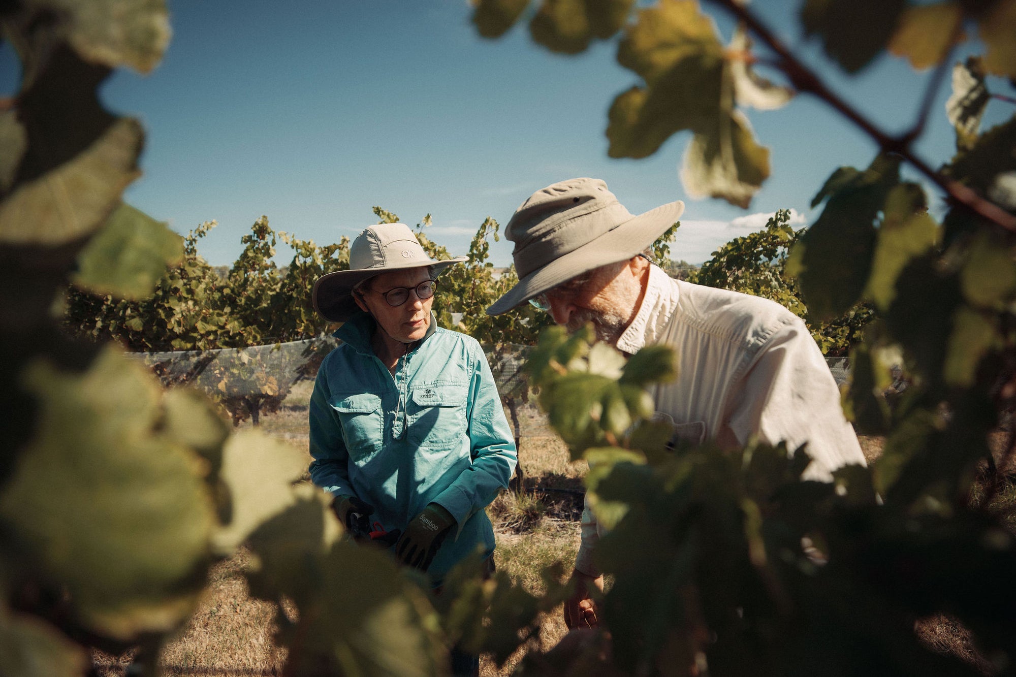 Axehouse Vineyard Gruner Veltliner 2024