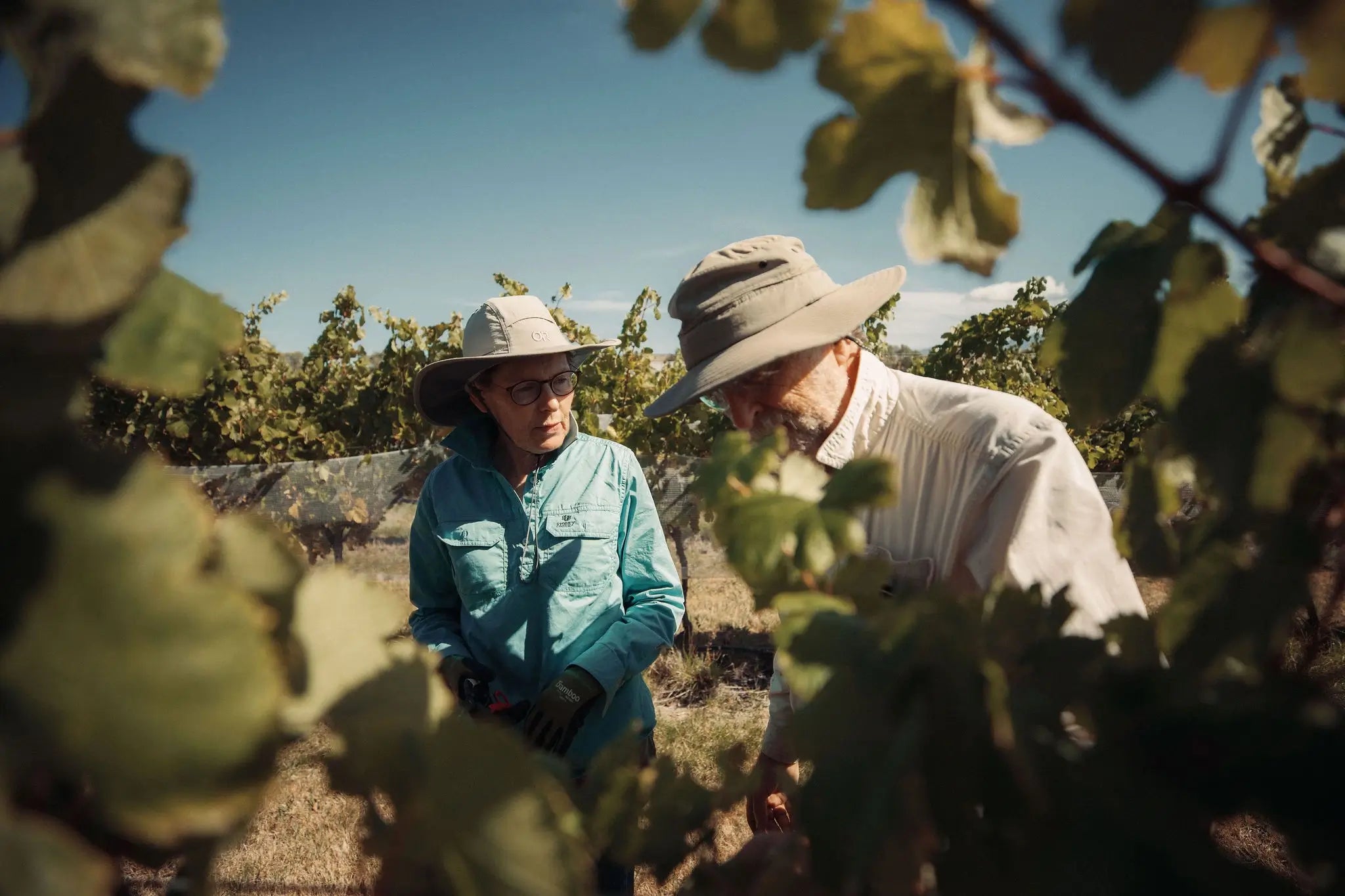 Axehouse Vineyard - Southern Valleys, Wairua Valley | Marlborough, New Zealand - Single Vineyard Wines