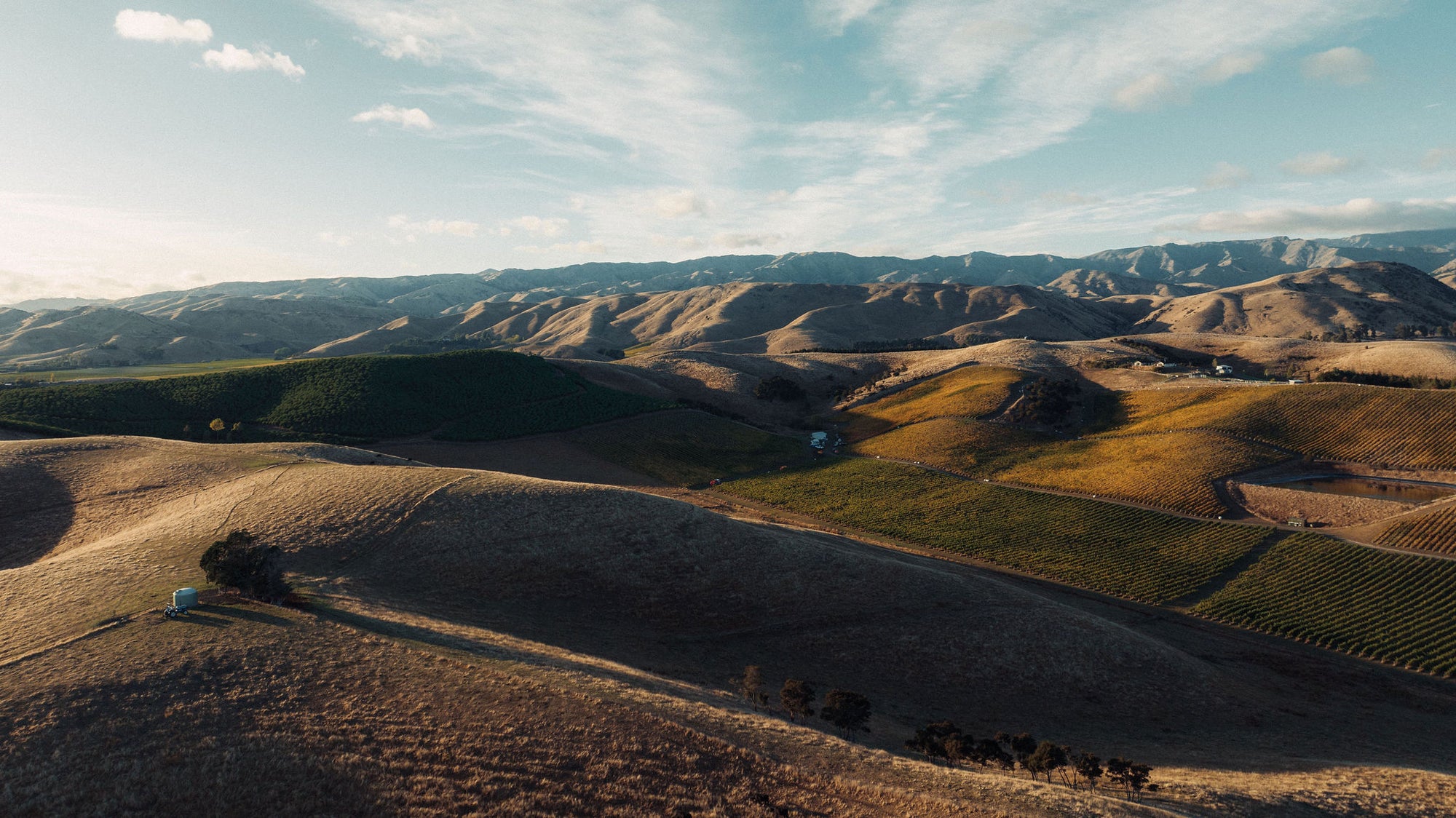 Settlement Vineyard Pinot Noir 2021