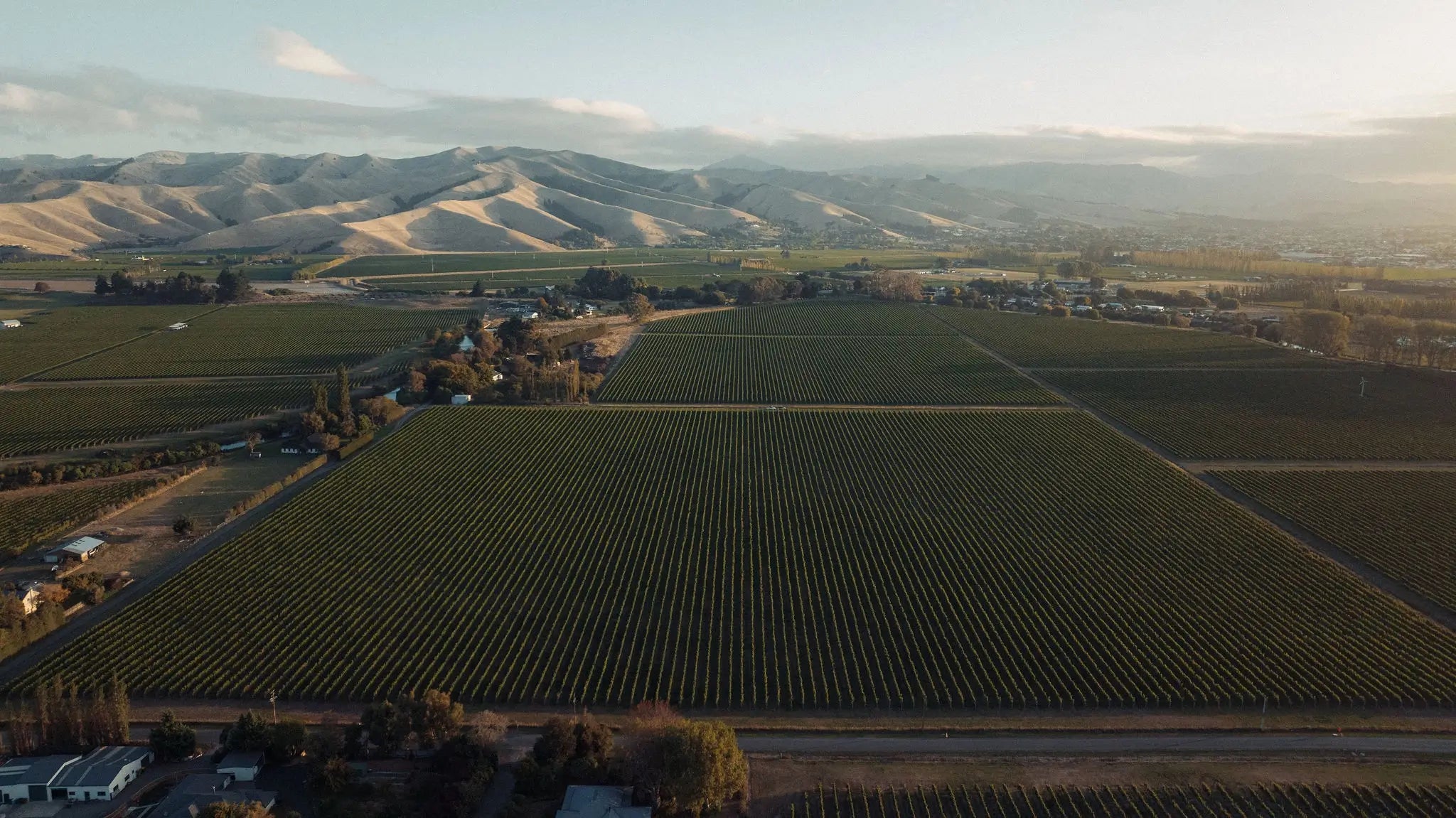 Holdaway Vineyard - Wairau Valley | Marlborough, New Zealand - Single Vineyard Wines