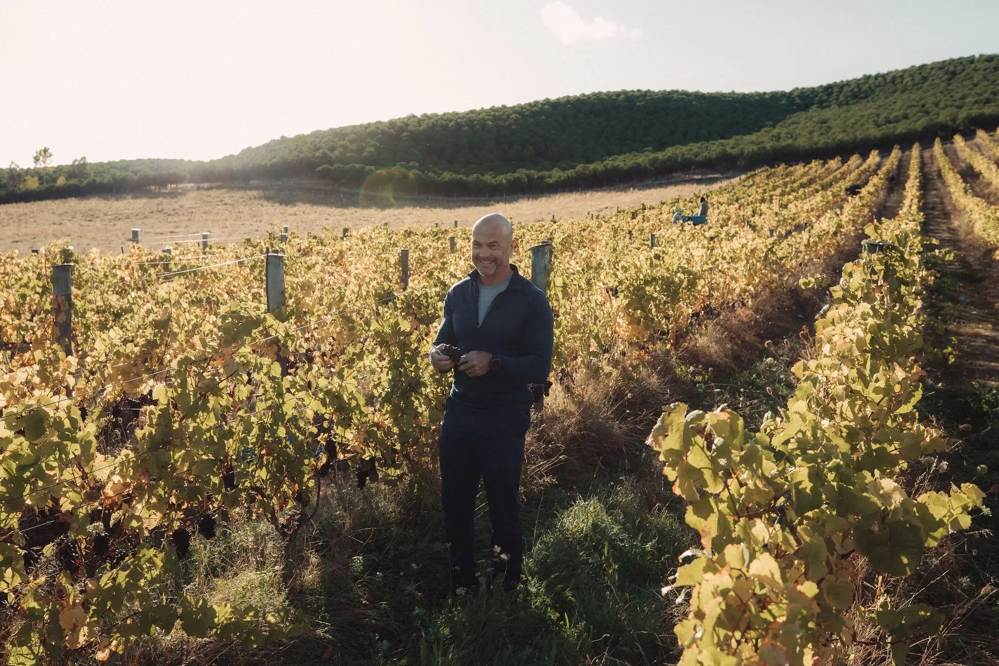 Settlement Vineyard - Southern Valleys, Wairau Valley | Marlborough, New Zealand - Single Vineyard Wines