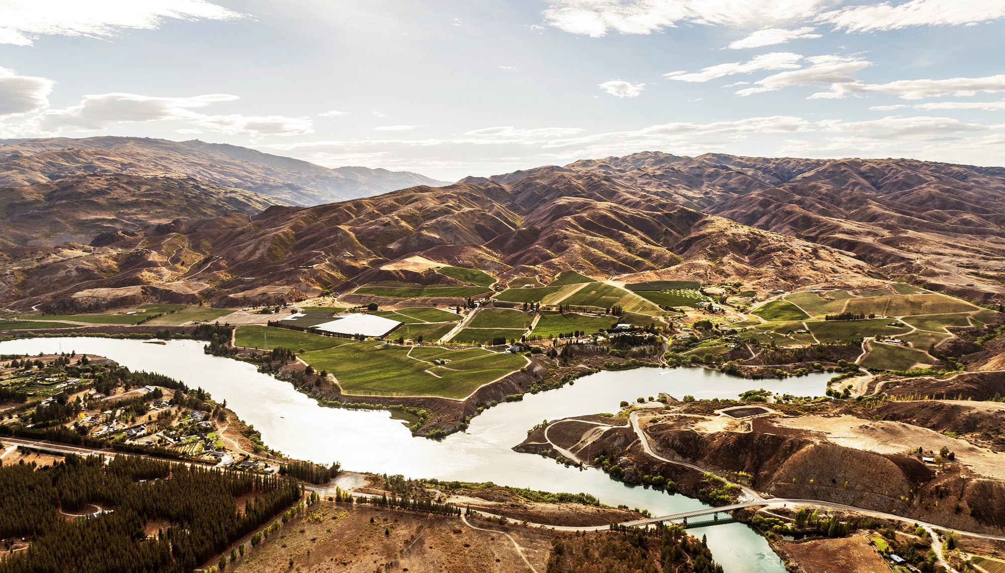 Una Volta Pinot Noir 2024