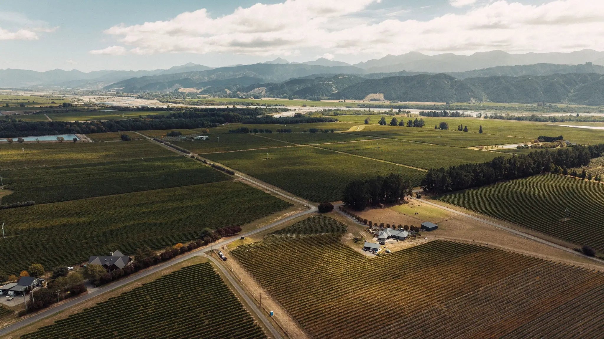 Reed Vineyard - Central Wairau | Marlborough, New Zealand - Single Vineyard Wines