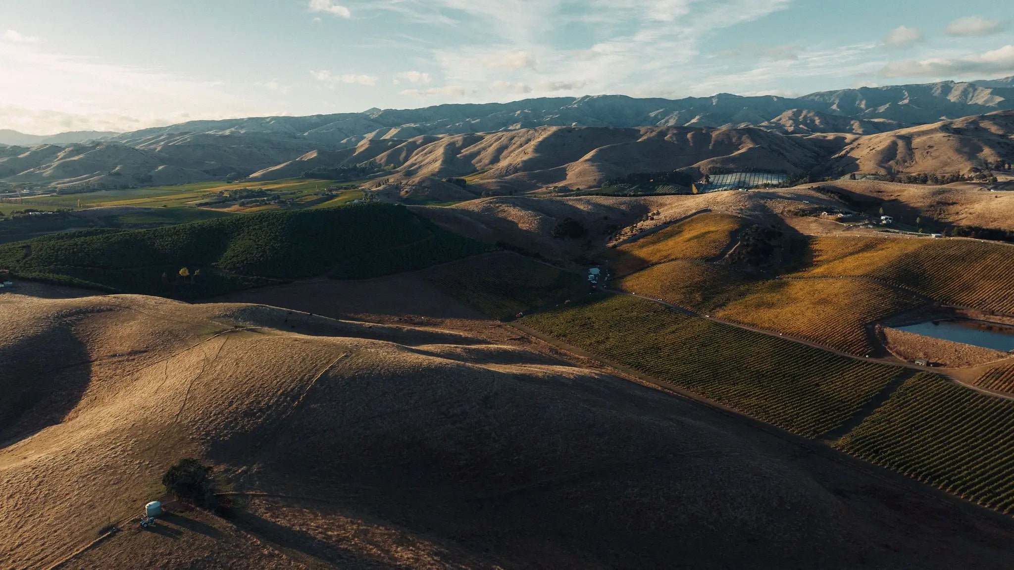 Settlement Vineyard - Southern Valleys, Wairau Valley | Marlborough, New Zealand - Single Vineyard Wines