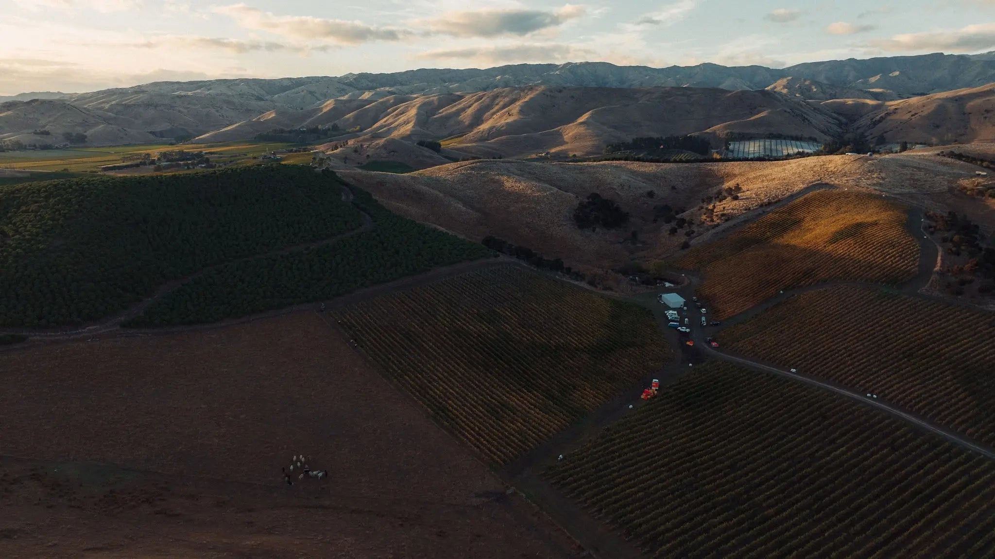 Settlement Vineyard - Southern Valleys, Wairau Valley | Marlborough, New Zealand - Single Vineyard Wines