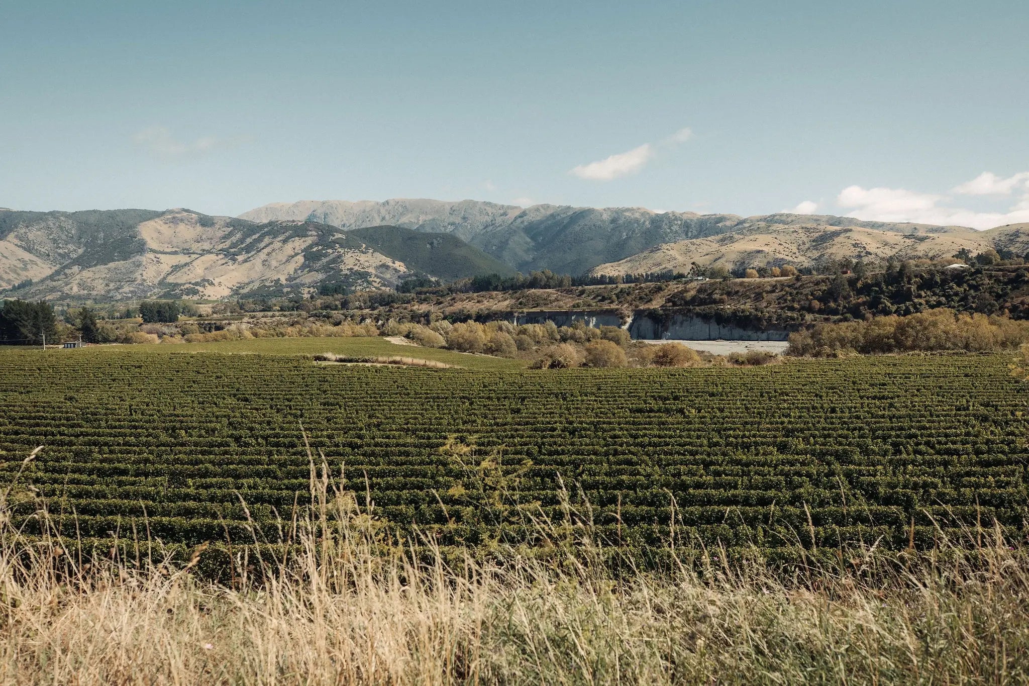 Upton Downs Vineyard - Awatere Valley | Marlborough, New Zealand - Single Vineyard Wines