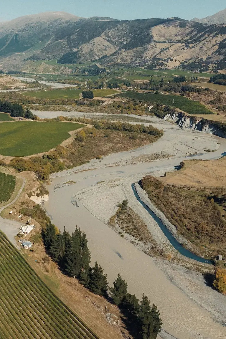 Upton Downs - Exceptional Single Vineyards - Blank Canvas Wines