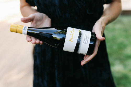 Holdaway Vineyard Sauvignon Blanc 2025