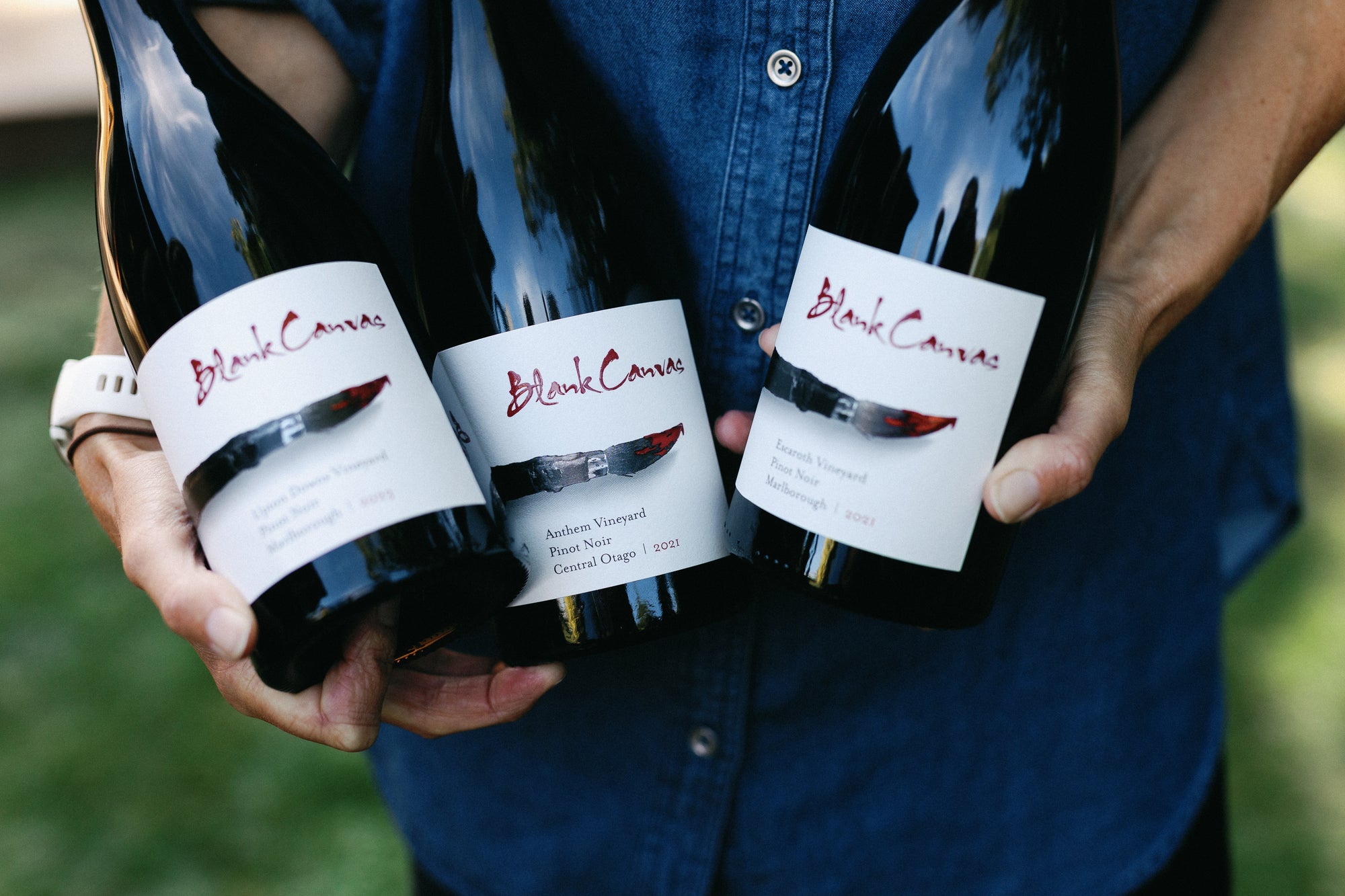 Blank Canvas Single Vineyard Red Collection 6-PACK